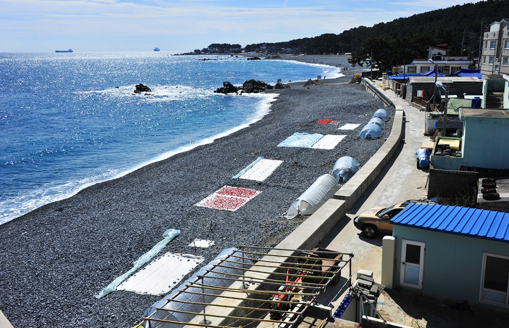 주전바다