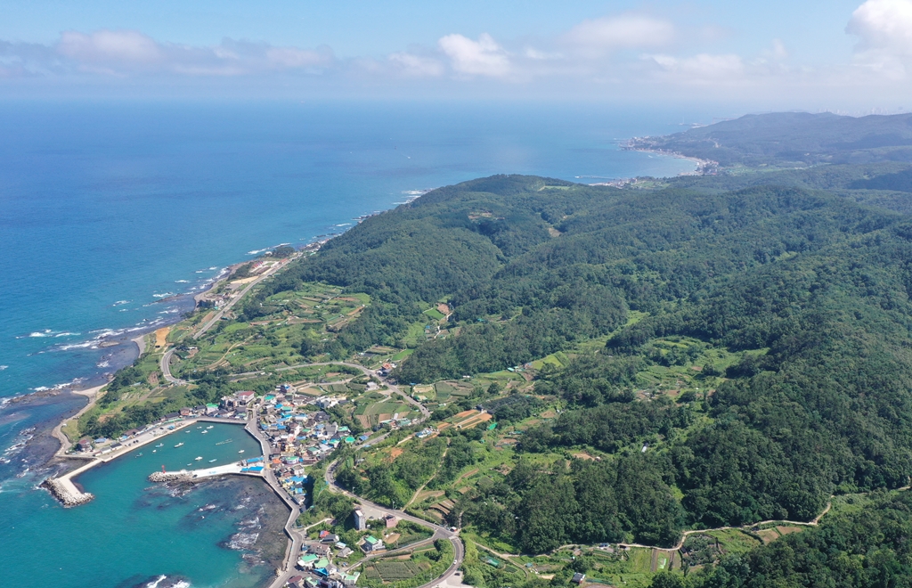 해안축_강동지역