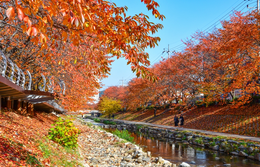 무거천의 가을
