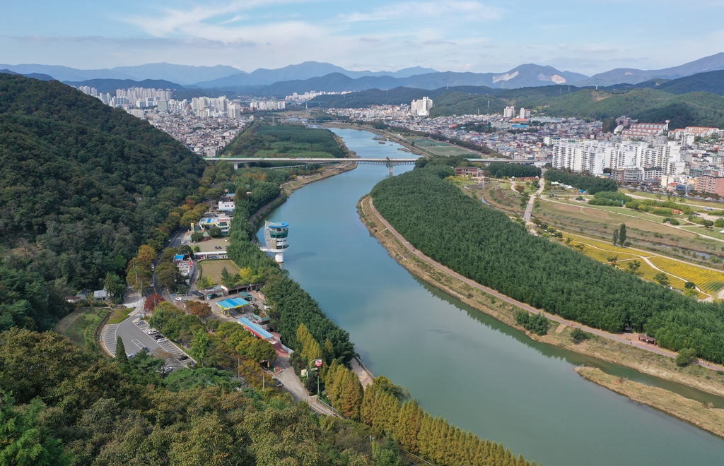 남산루 상공에서 본 태화강