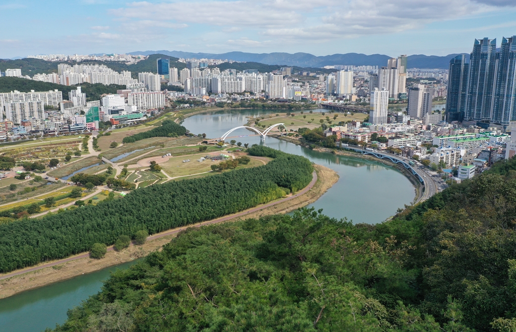 은월봉에서 본  태화강