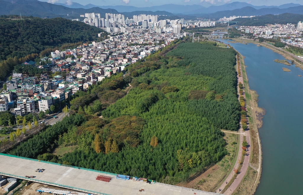 태화강국가정원의 삼호지구