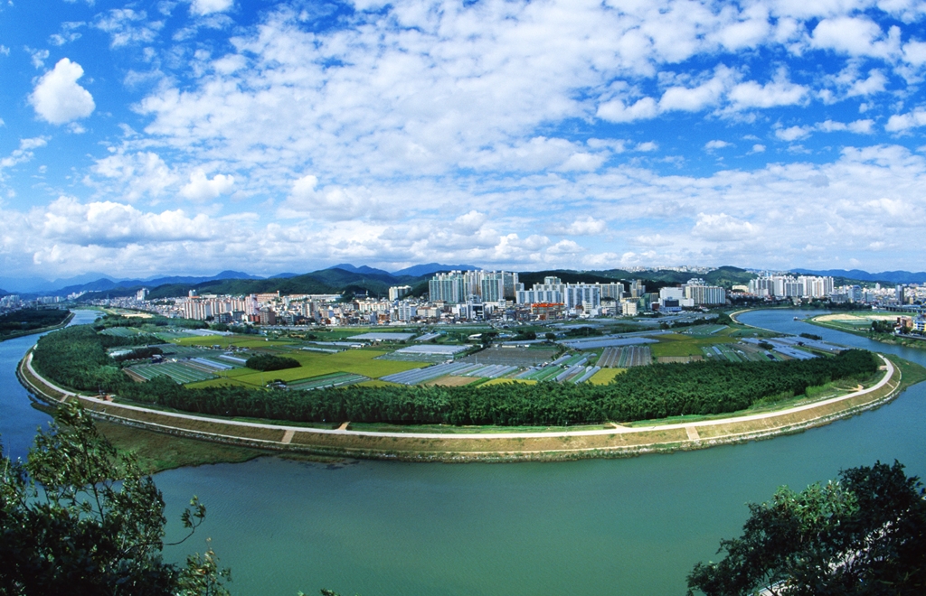 남산에서 본 태화강십리대밭