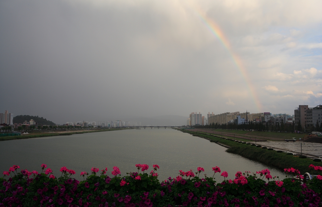 태화강변의 무지개