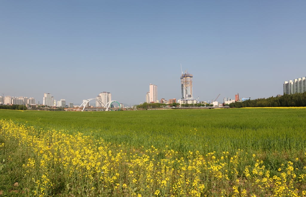 태화들파노라마03 | 울산광역시 도시경관기록 울산광역시 도시경관기록
