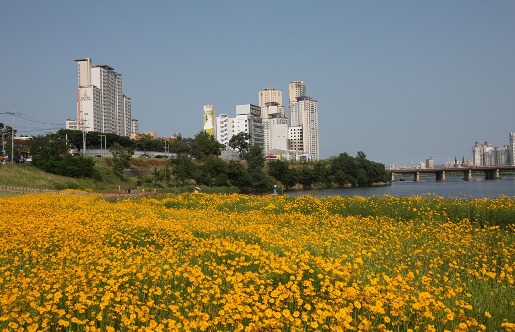 태화루가 건립될 부지전경 | 울산광역시 도시경관기록 울산광역시 도시경관기록