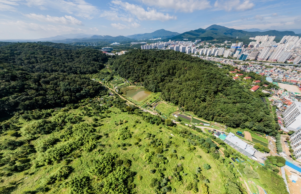(가칭)무거 삼호지구 도시개발사업1 | 울산광역시 도시경관기록 울산광역시 도시경관기록
