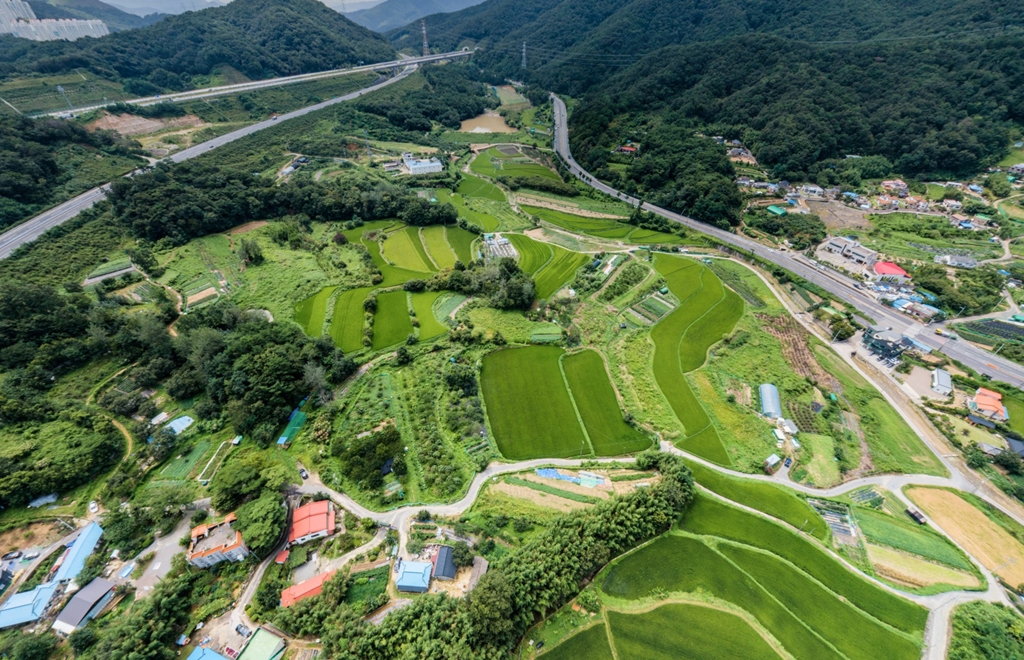 농수산물 이전 사업3