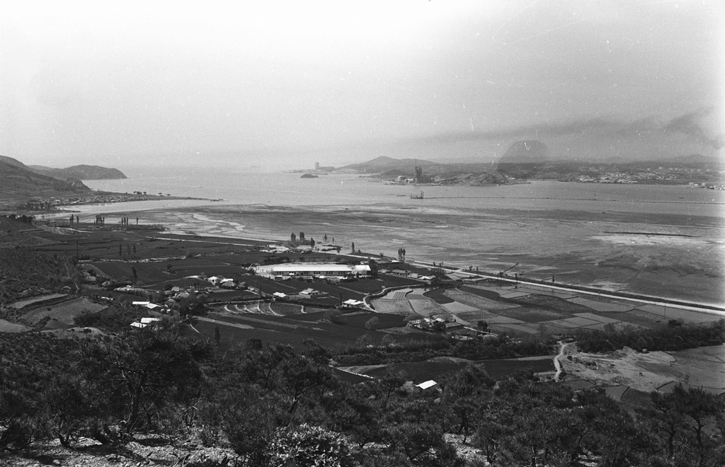 염포동주변시가지전경_1967
