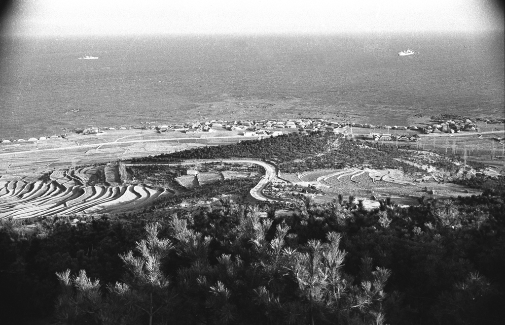 용잠동 전경_1965