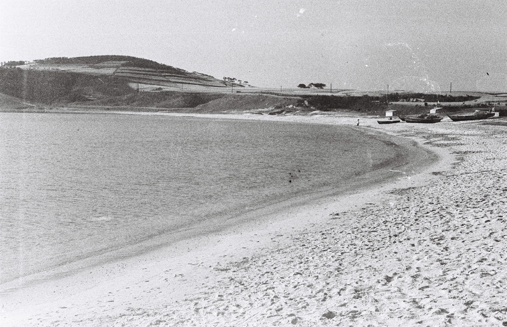 일산해수욕장_1965