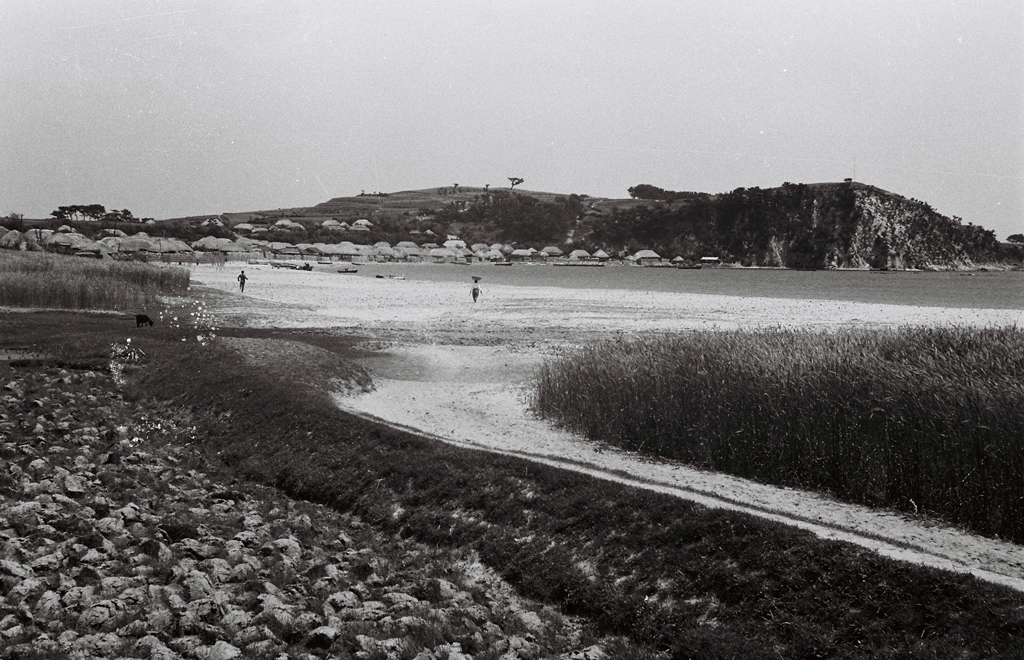 일산해수욕장주변전경_1965