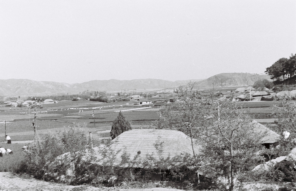 학성공원 주변 전경_1965