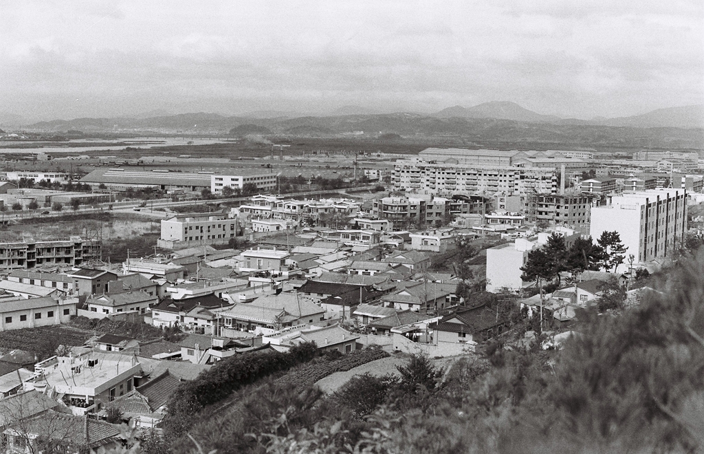 염포산에서 본 현대자동차와 주변 전경_1979
