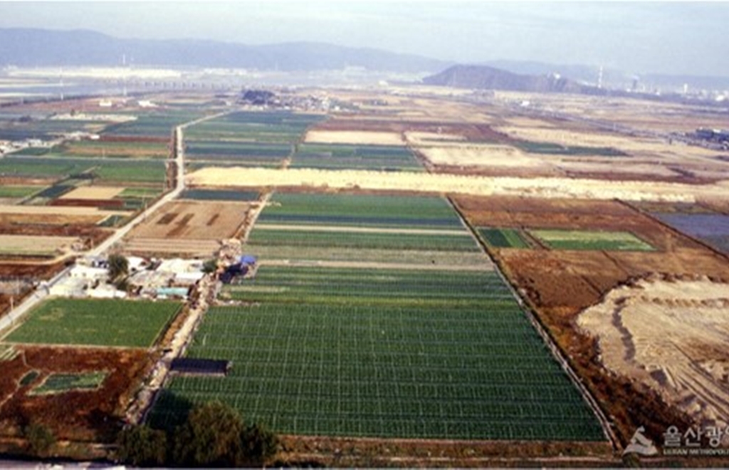 삼산로 주변전경_1980년대
