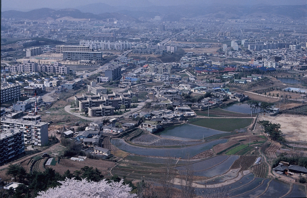 신선산에서 본 시가지 전경_1982