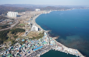 강동_정자항_산하지구_1차