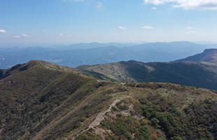 신불산 능선