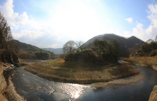 반구대암각화2