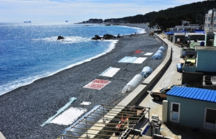 주전바다