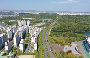 도로축_문수로