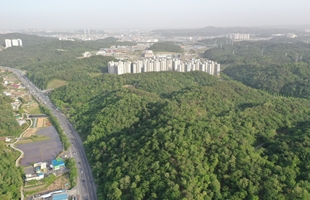 산악축_개발제한구역의 산지와 개발