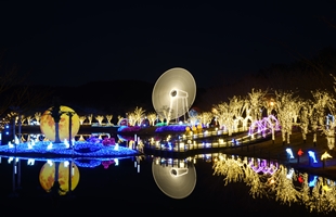 울산대공원_야경_1