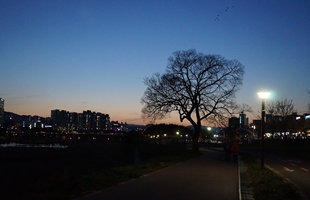태화강국가정원_야경_12