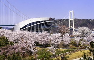 고래문화마을의 봄