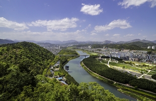 태화강의 여름