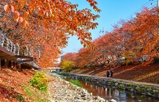 무거천의 가을