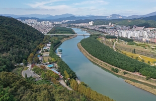 남산루 상공에서 본 태화강