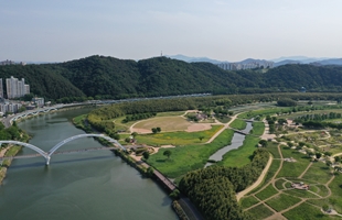 남산의 능선