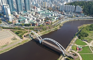 십리대밭교와 신정동