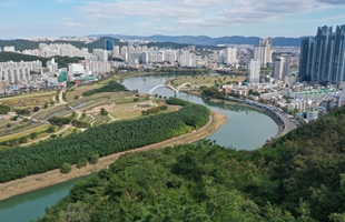 은월봉에서 본  태화강
