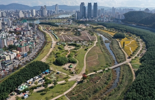 태화강국가정원과 대숲