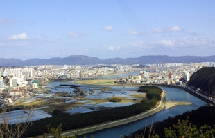 남산에서 바라본 태확강십리대밭및 울산시가지전경