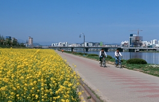 남구 태화강변의 자전거산책