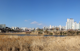 태화루주변시가지파노라마02