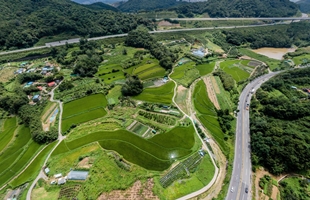 농수산물 이전 사업1