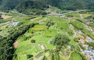 농수산물 이전 사업2