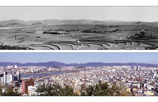 남산에서 바라본 남구시가지 전경_1960년대초