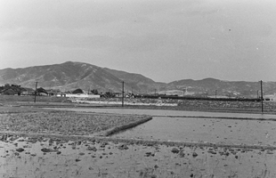 병영역주변_1964