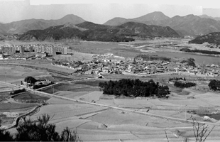 삼호산에서 본 삼호동 전경_1970년대 초