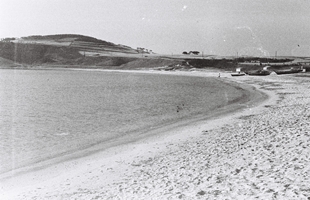 일산해수욕장_1965