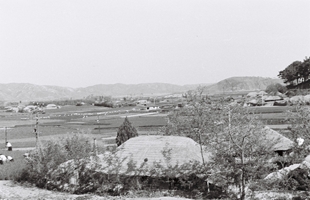 학성공원 주변 전경_1965
