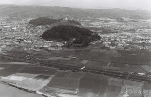 학성교 상공에서 본 학성공원 일원_1969