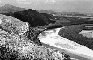 태화강과 십리대밭(1960대)_1차