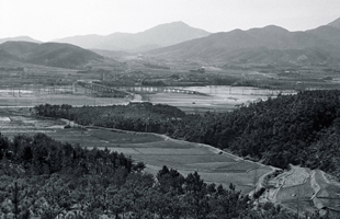 태화동에서 본 삼호교와 무거동(1960년대)_1차