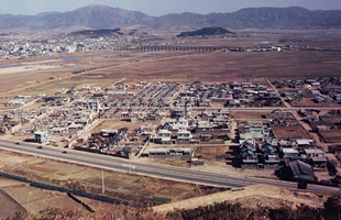 남산에서 본 신정동 전경_1970